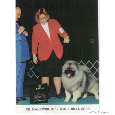 Ch. Markwright's Black Hills Gold